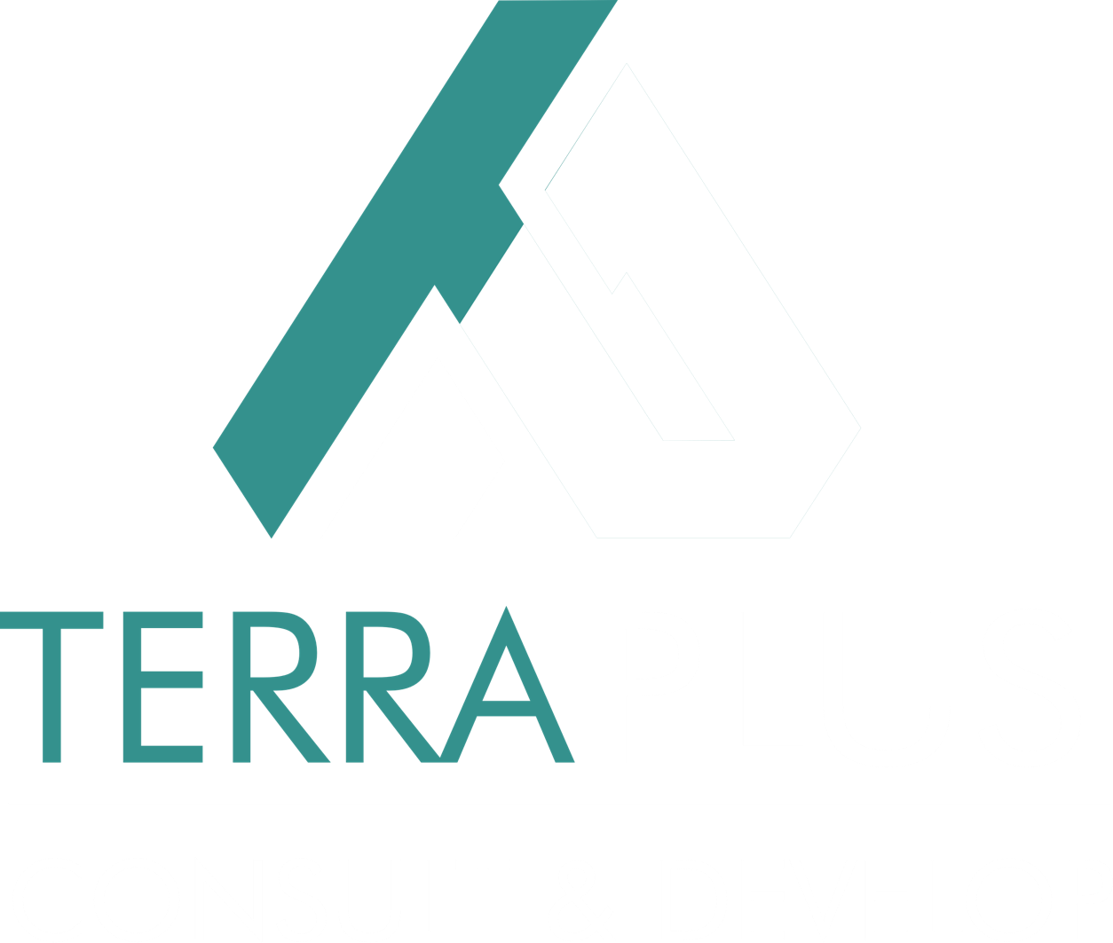 TerraPlus Capital